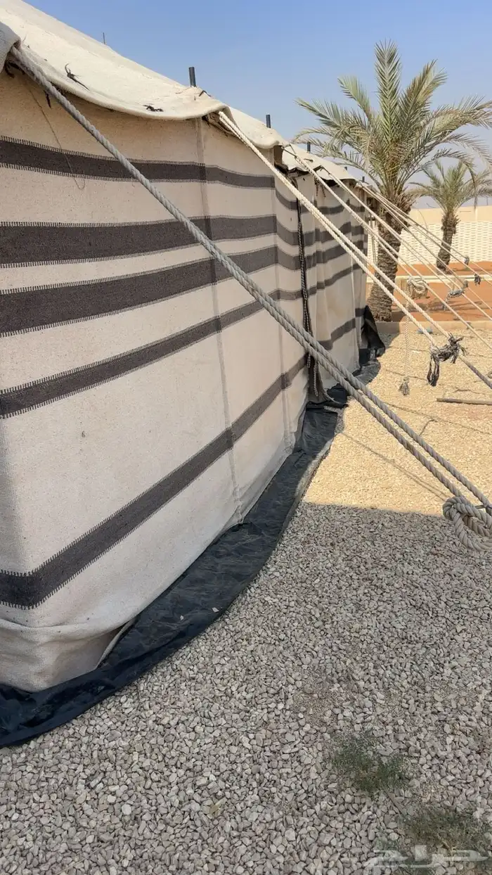 بيت شعر ابيض 1