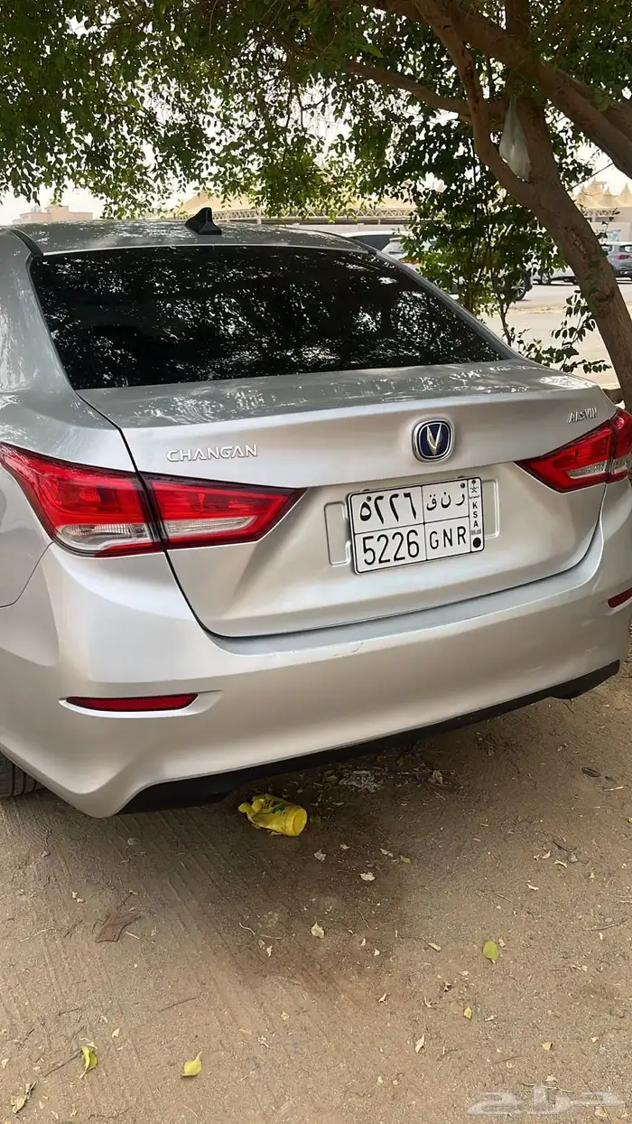 شانجان سفن 2025 نظيفه 1