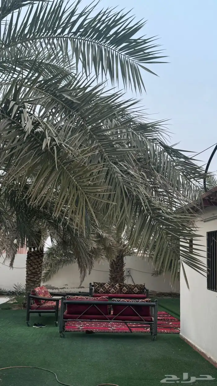 استراحه بالعريمضي للبيع مساحتها 1100متر 1