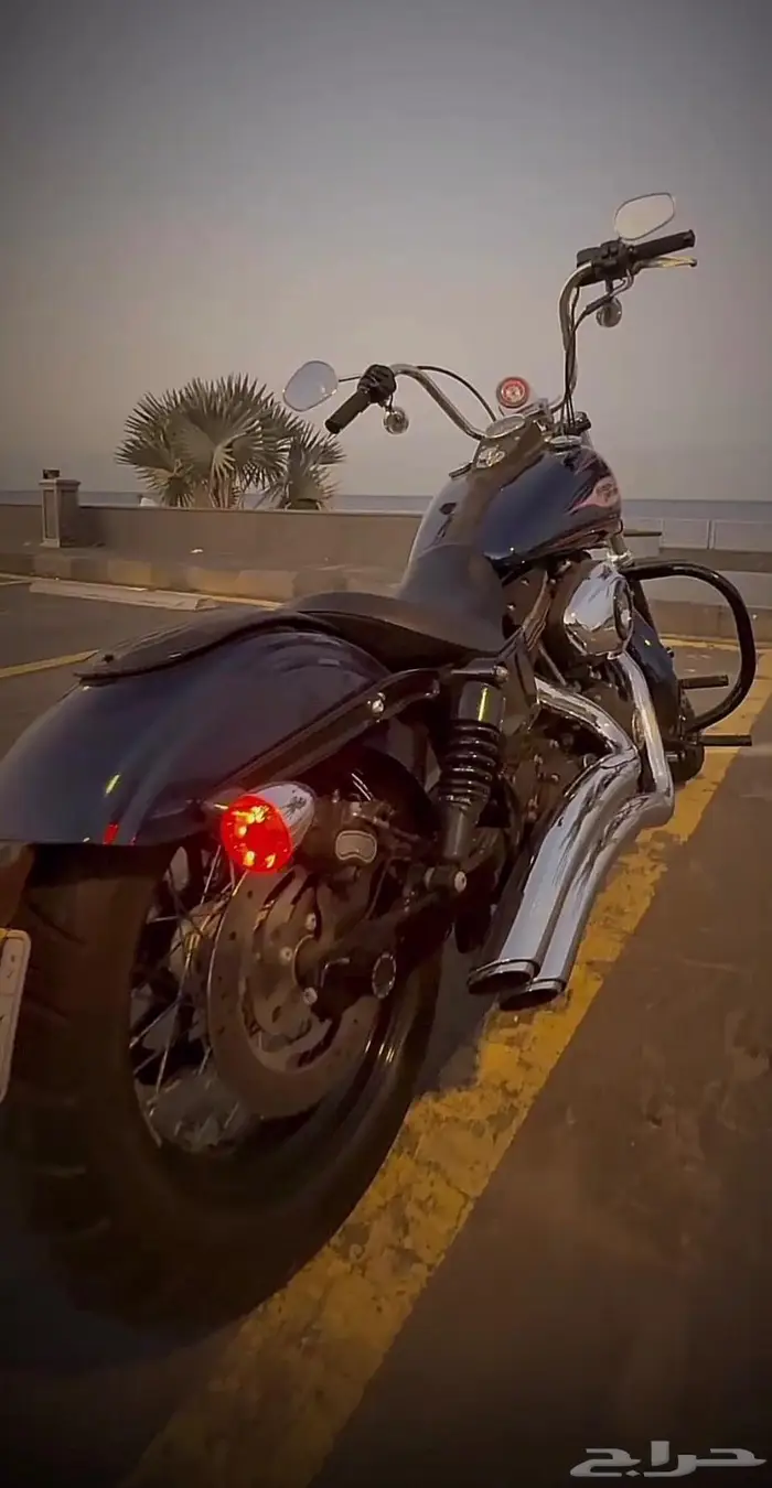 هارلي ستريت بوب 1