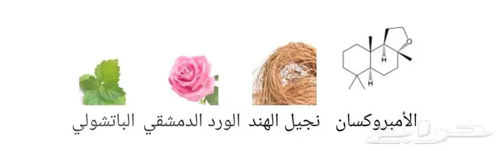 للتبادل عطر جيفنشي أكورد بارتيكولور 2