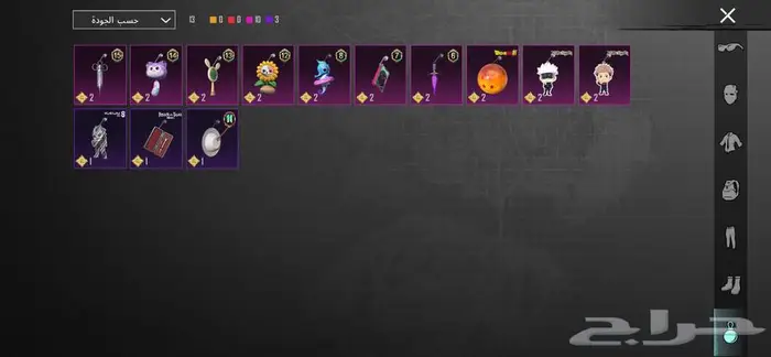 حساب ببجي 13