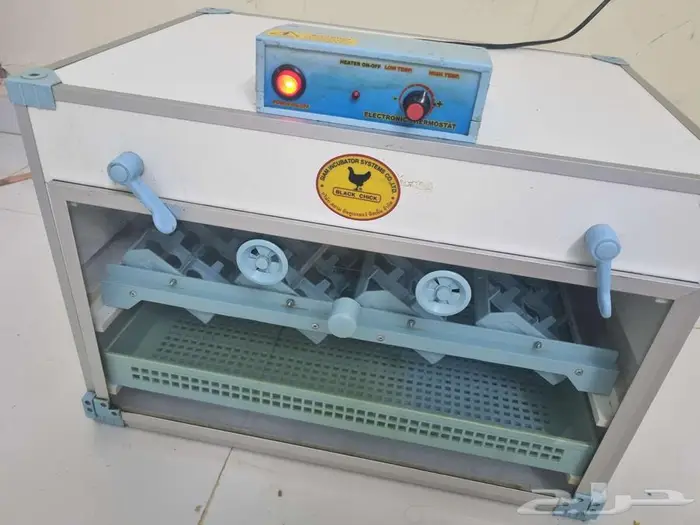 فقاصه تالينديه 1