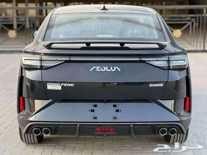 دونج فينج شاين 2025 3