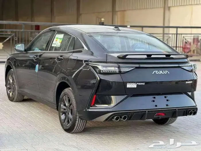 دونج فينج شاين 2025 4