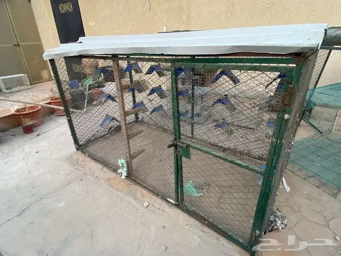 قفص شبك حمام دجاج 0
