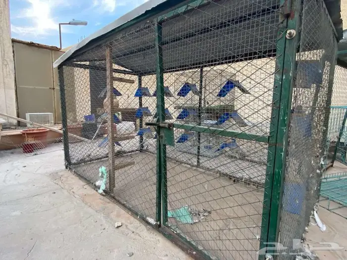 قفص شبك حمام دجاج 1