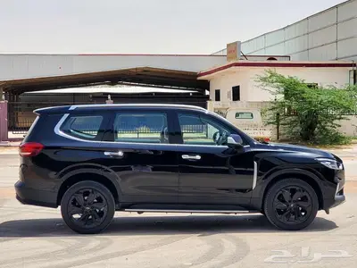 سايك موتورز ماكسيس D9 2022 index