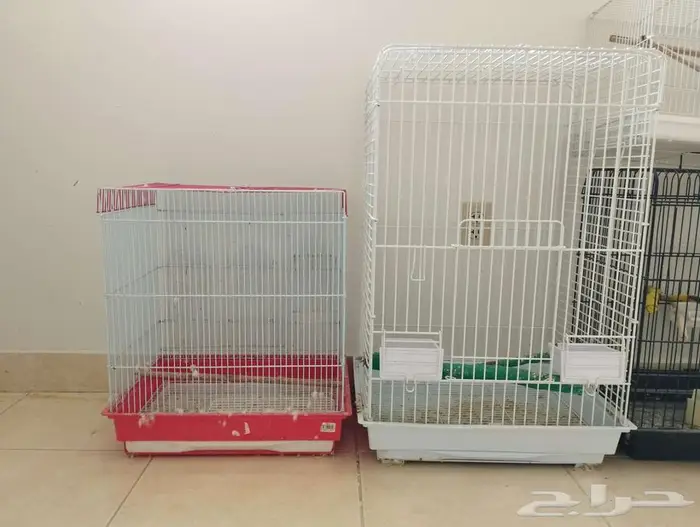 اقفاص نظيفه 2