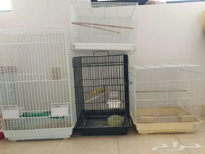 اقفاص نظيفه 3