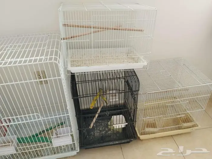 اقفاص نظيفه 4