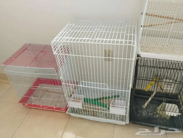 اقفاص نظيفه 5