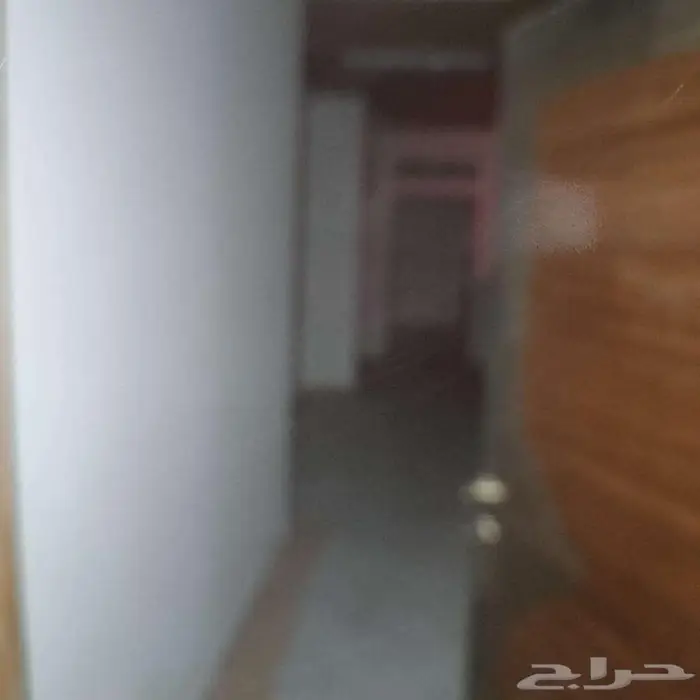 للايجار شقة عزاب في الرياض حي الخليج   عرض رقم D1302 6