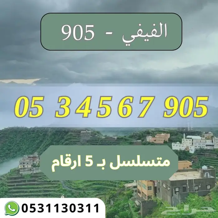 رقم مميز برقم قبيلة الفيفي 905 0
