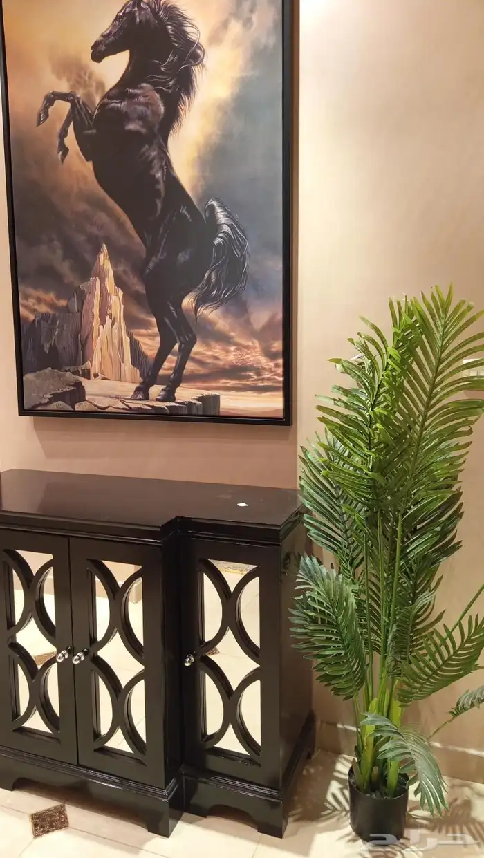 مدخل مع لوحة وشجرة زينة 1