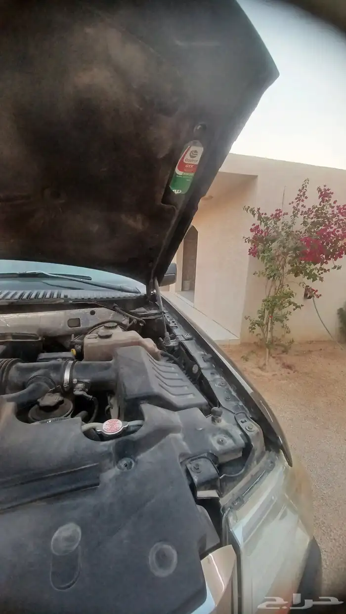 اكسبدشن سعودي قصير بدون دبل 2010 9