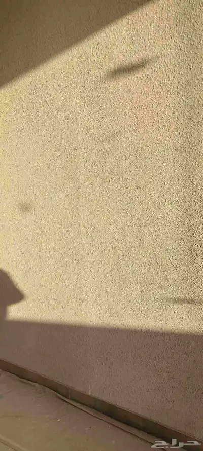 معلم دهان باكستاني شغل 100 100 index