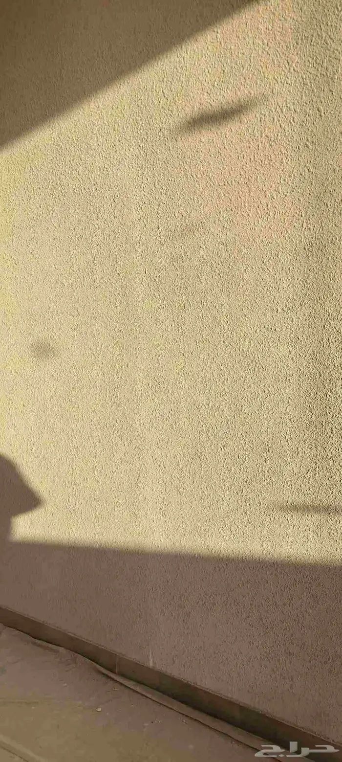 معلم دهان باكستاني شغل 100 100 2