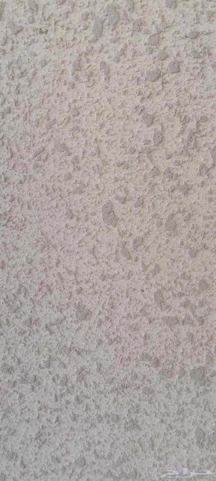 معلم دهان باكستاني شغل 100 100 1