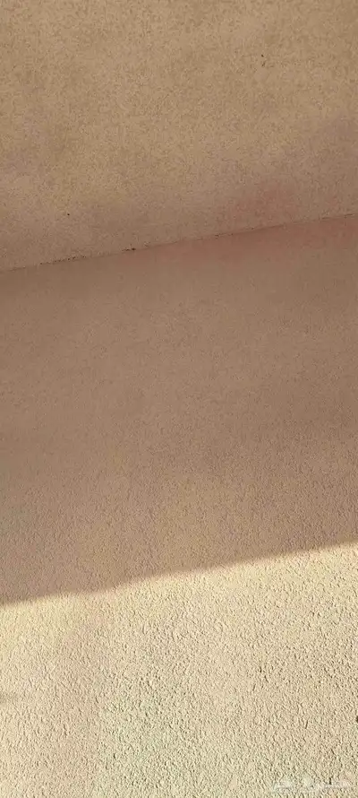 معلم دهان باكستاني شغل 100 100 index