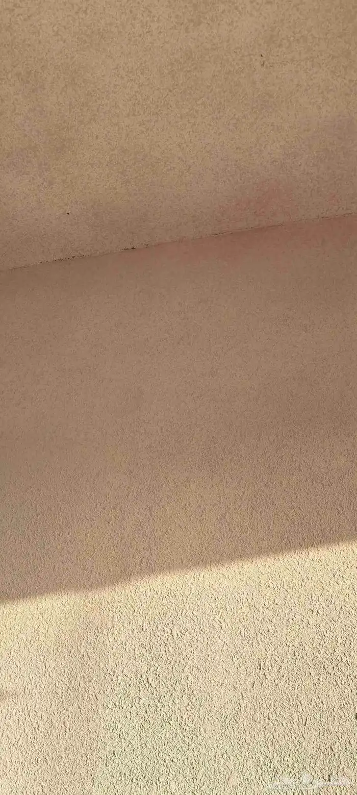 معلم دهان باكستاني شغل 100 100 3