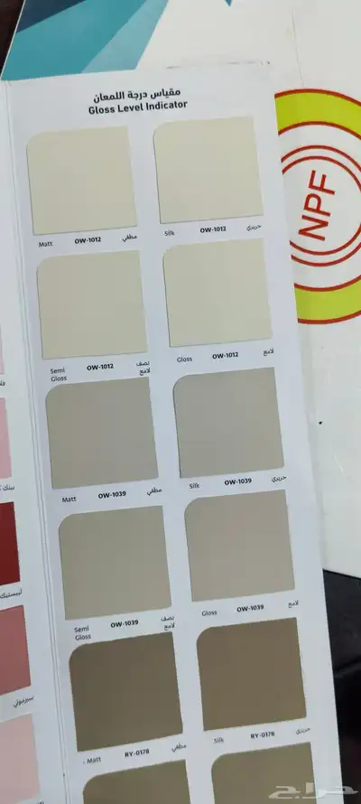 معلم دهان باكستاني شغل 100 100 index