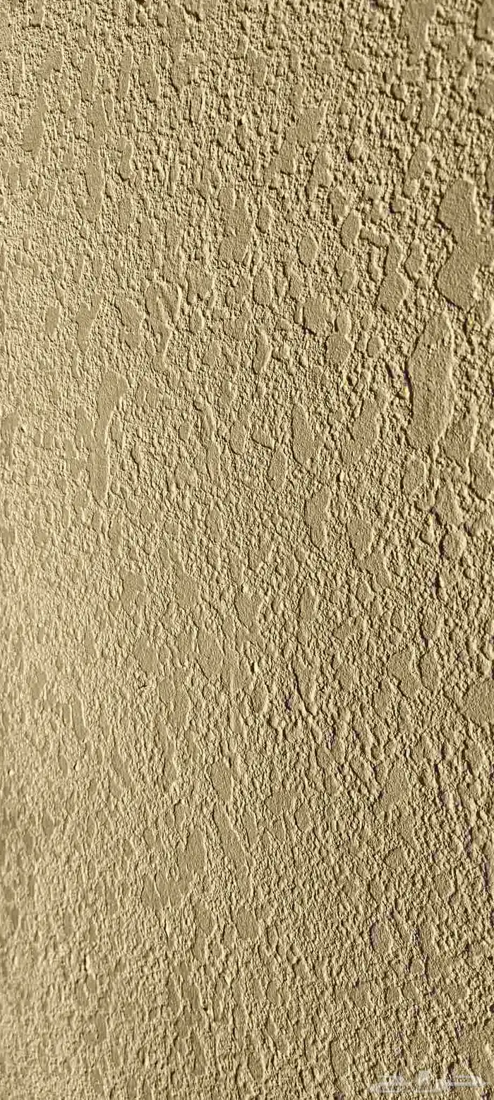 معلم دهان باكستاني شغل 100 100 0