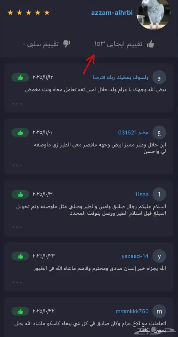 كاسكو متكلم بالوجة كبتن اليف 3