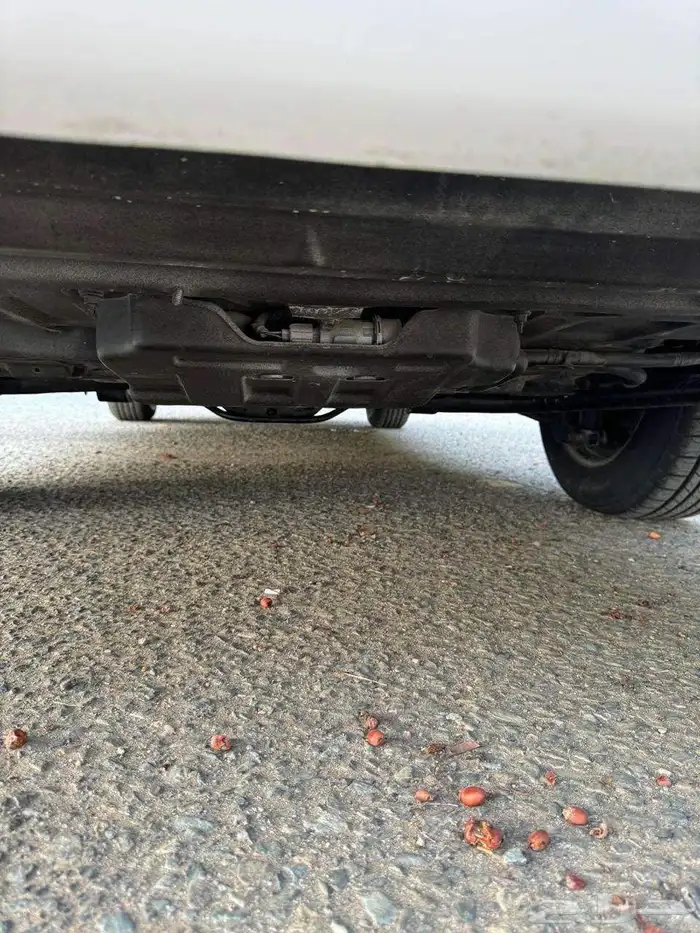 فورد كروان فكتوريا بوليسي اغراض الوكاله ماشالله تبارك الله 5