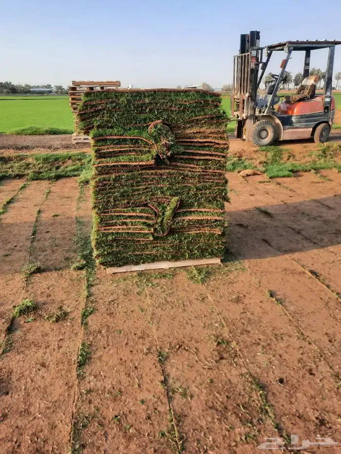 مشاتل الدمام طريق الجبيل 3