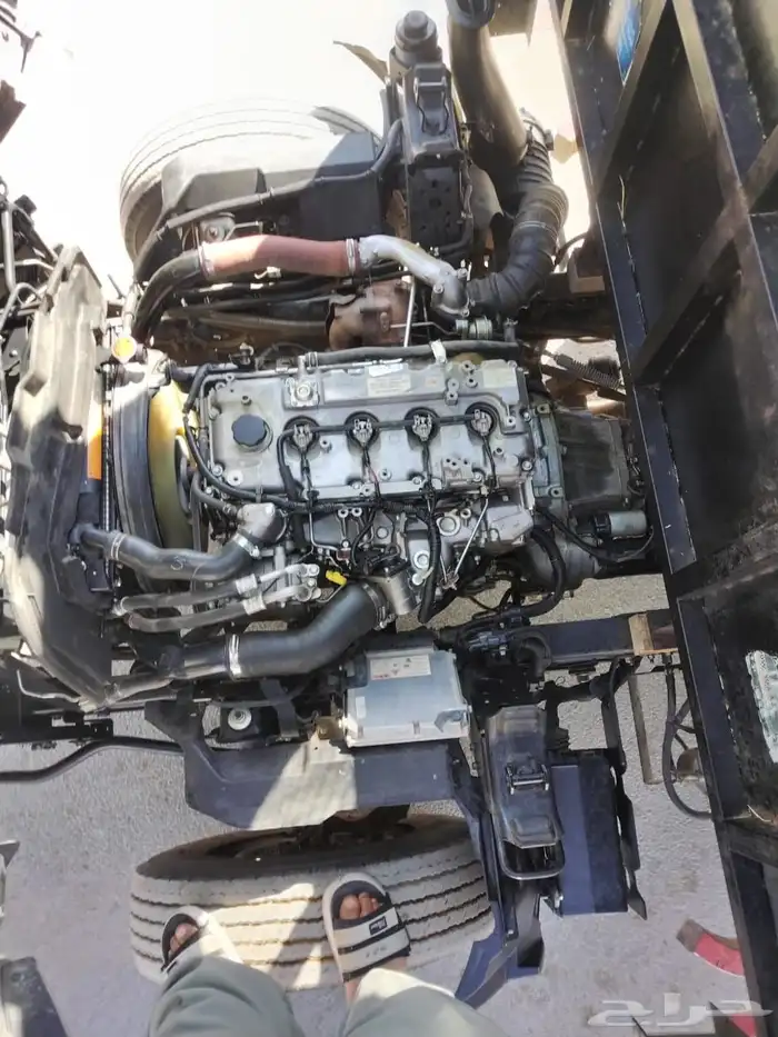 دنه 2021كل شي وكاله ممشي 800 7