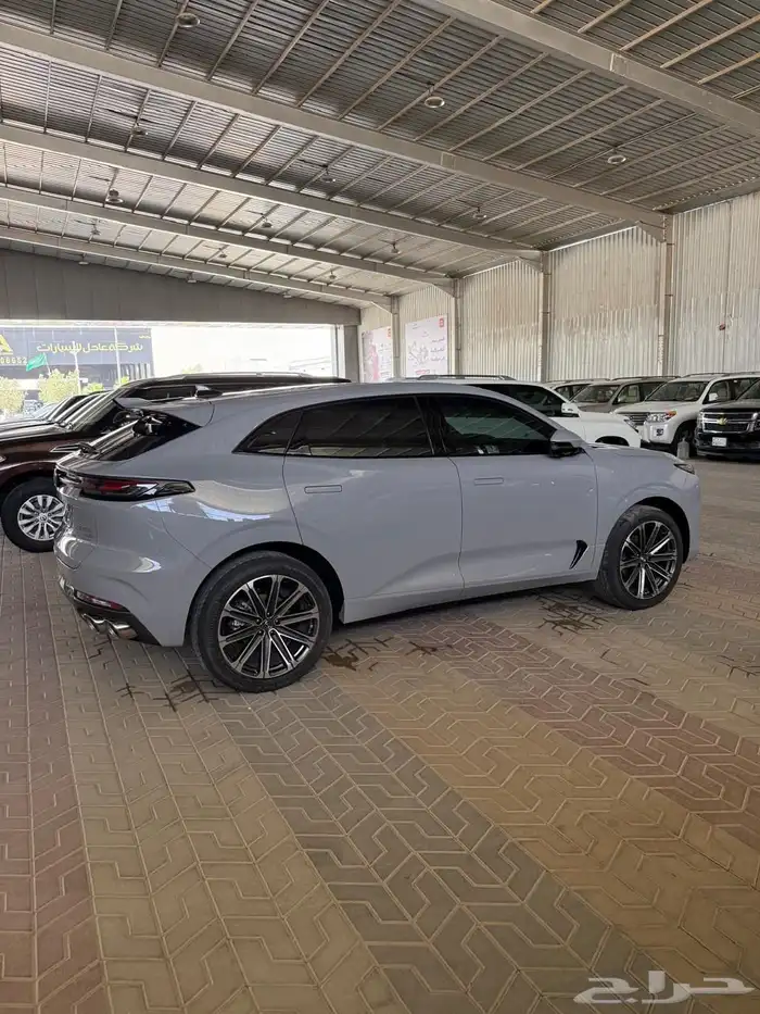 شانجان يوني كي 2026 المجدوعي شبه جديد 12