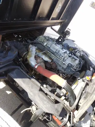 دنه 2021كل شي وكاله ممشي 800 index