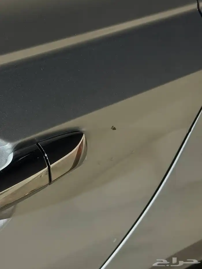 التيما 2023 استاندر 13