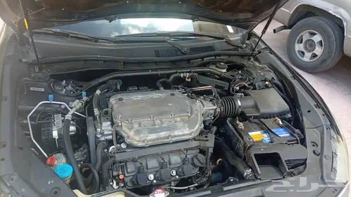 اكورد للبيع 8