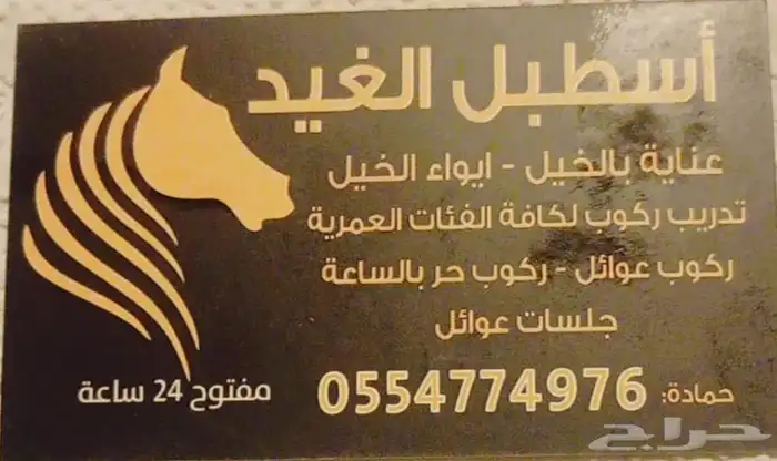 ركوب خيل وايجار خيل تدريب عسف الخيل إيواء جلسات عوائل 0