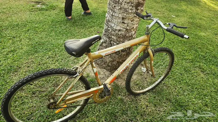 two bicycle in a very good condition i am saling them 0