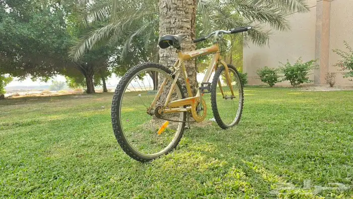 two bicycle in a very good condition i am saling them 3