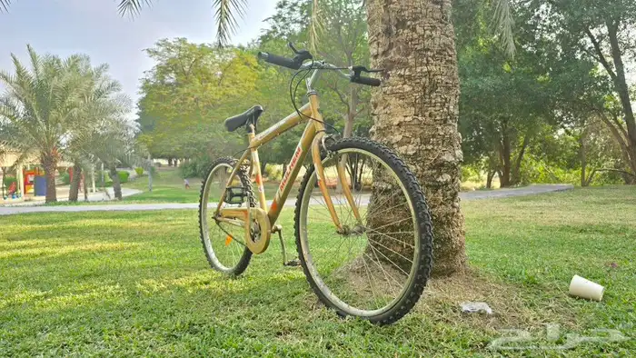 two bicycle in a very good condition i am saling them 2