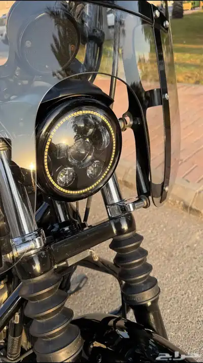 Harley Davidson 2021 sportster index