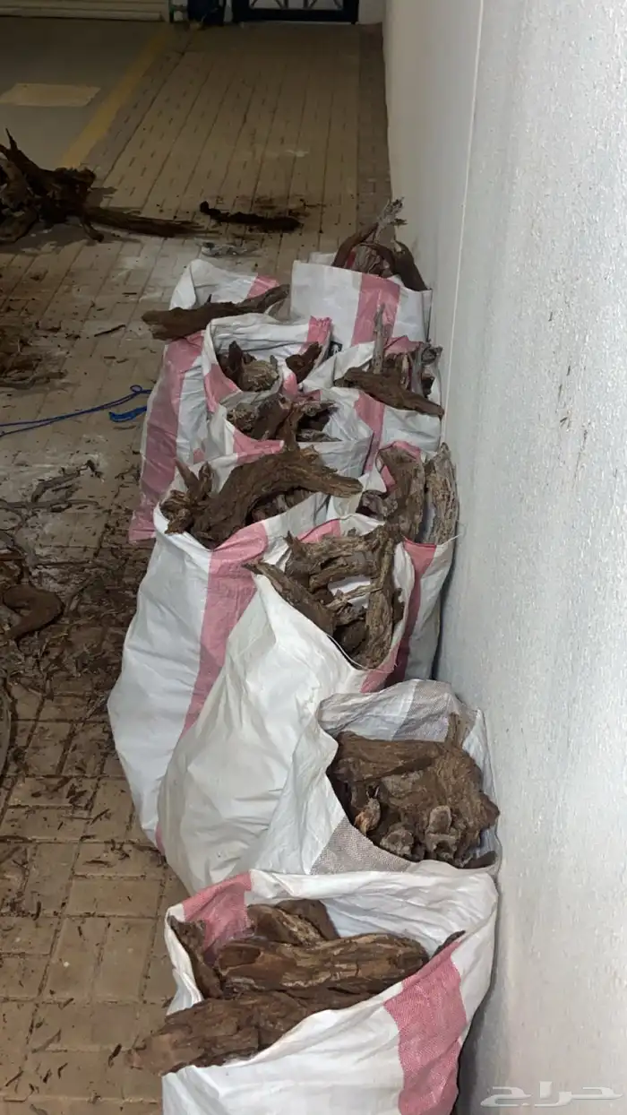 موجود ارطا حطب كميه قليله خياش 0