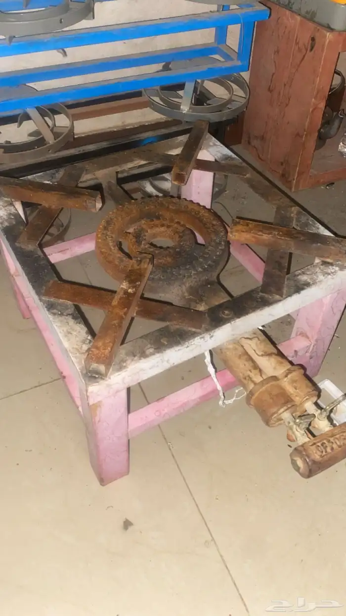 للبيع قز عين واحده 0