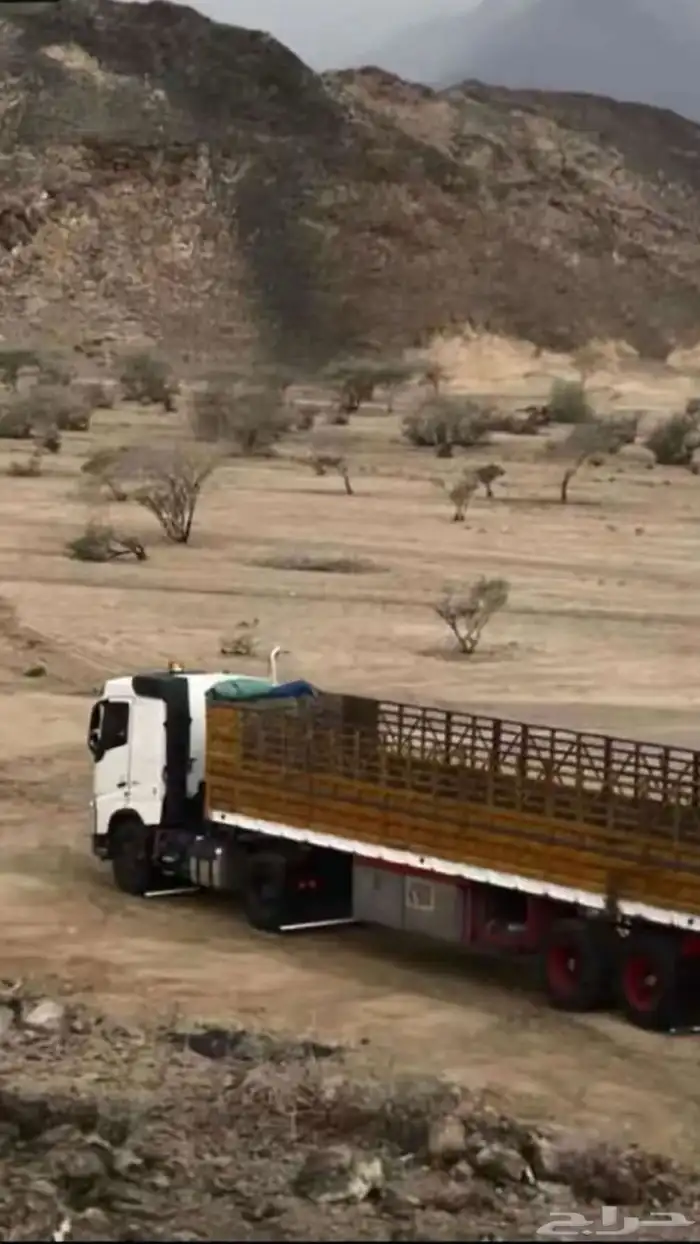 شاحنه نقل في جميع المناطق 0
