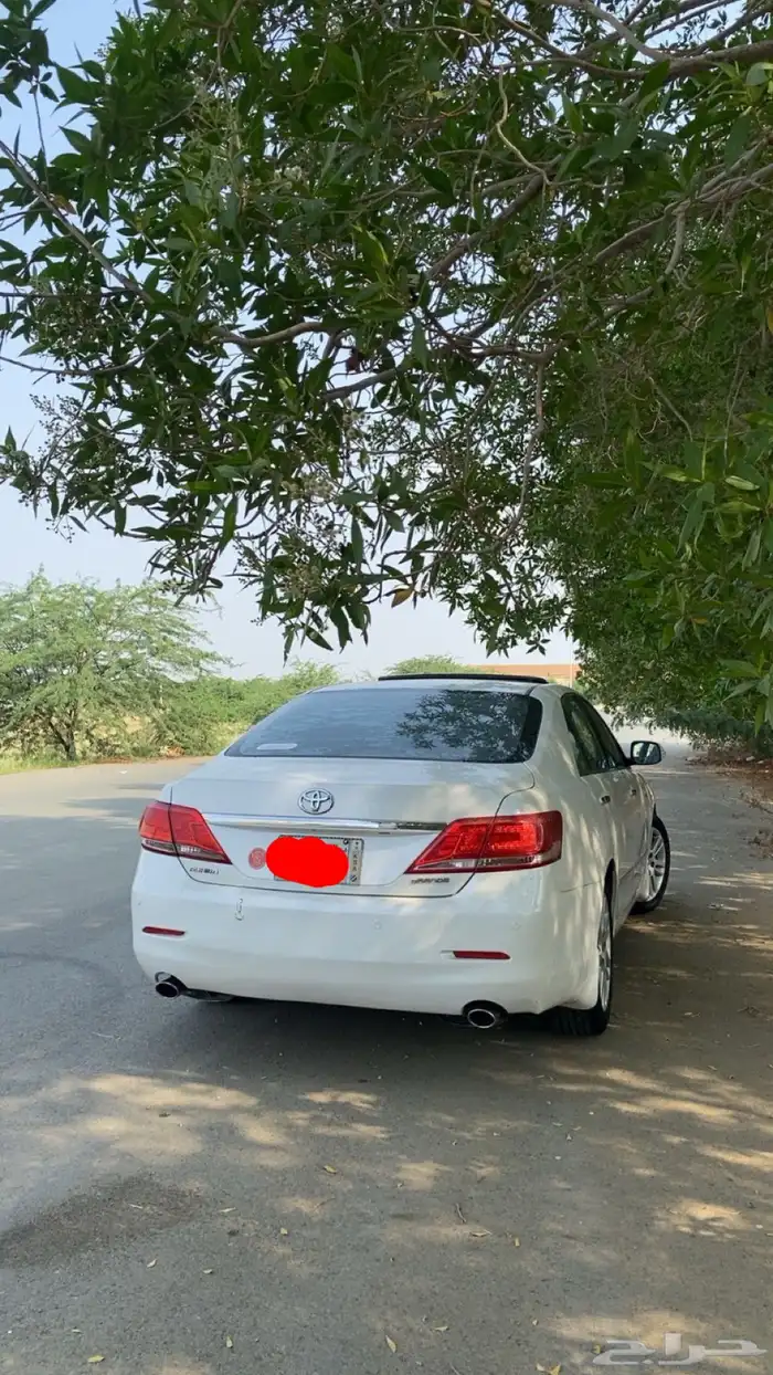 اوريون قراندي 2011 3