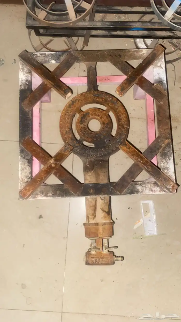 للبيع قز عين واحده 1