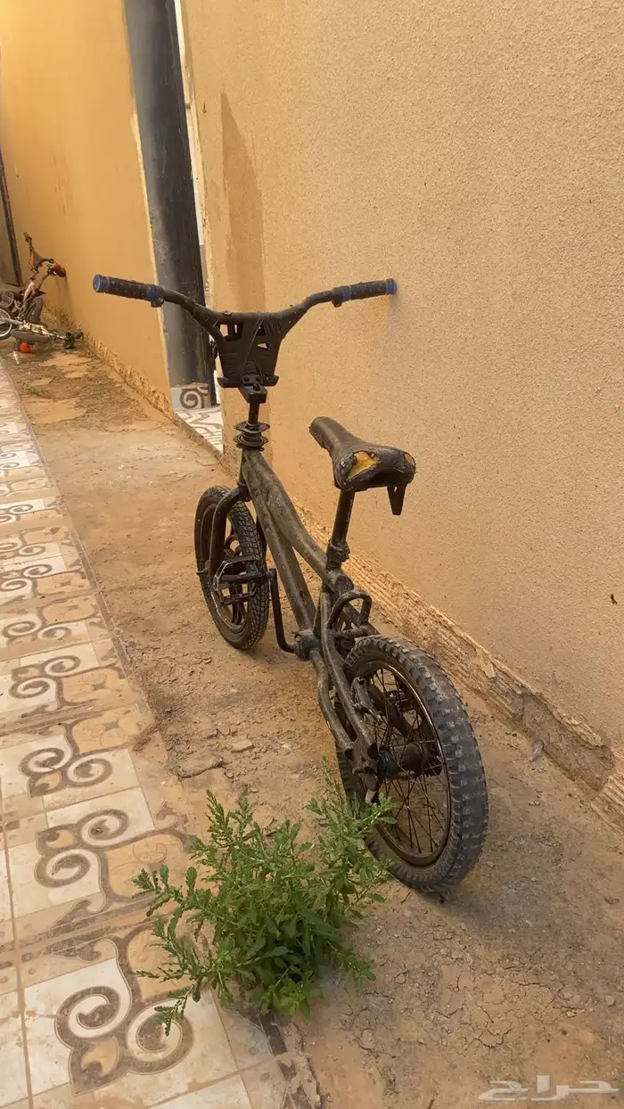 سيكل كوبرا 1