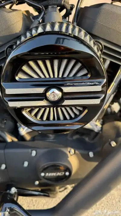 Harley Davidson 2021 sportster index