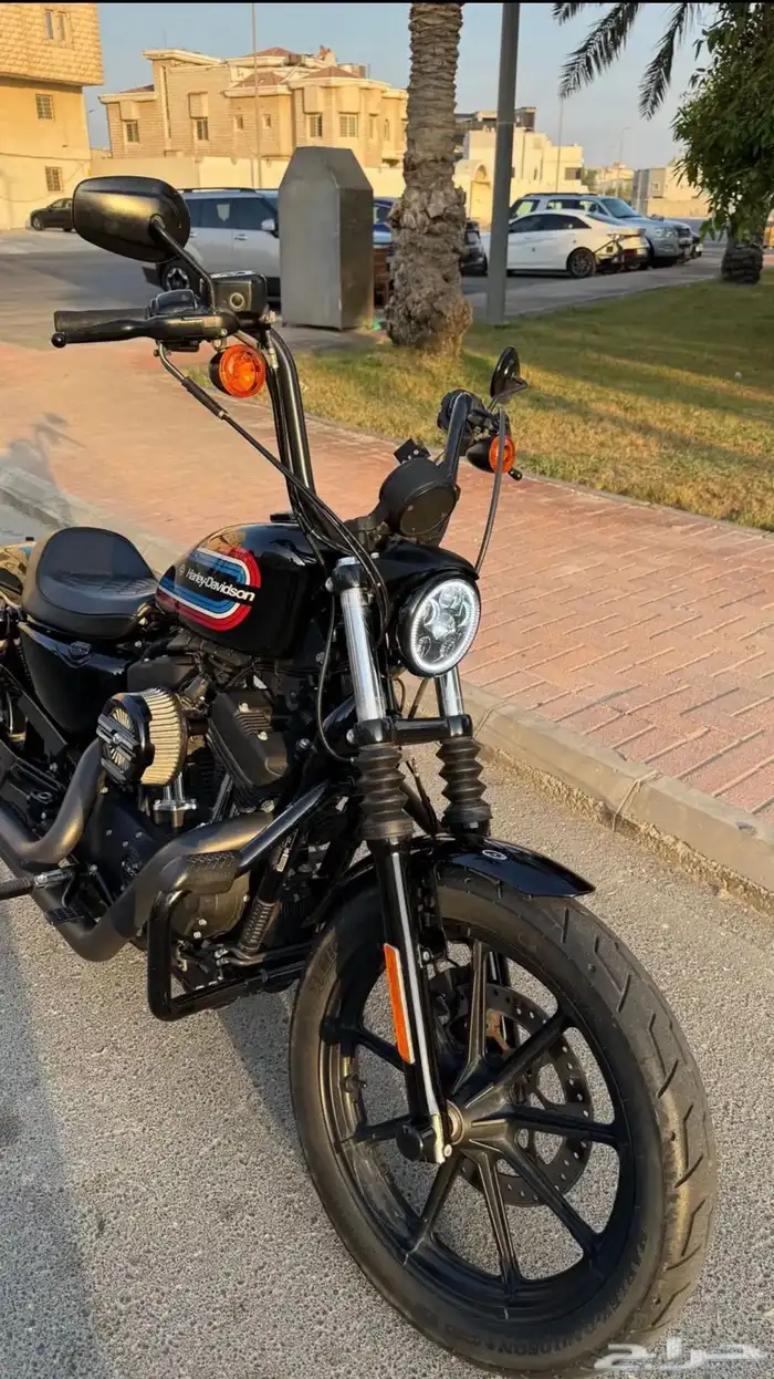 Harley Davidson 2021 sportster 12