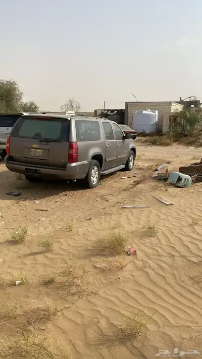 القنفذه index