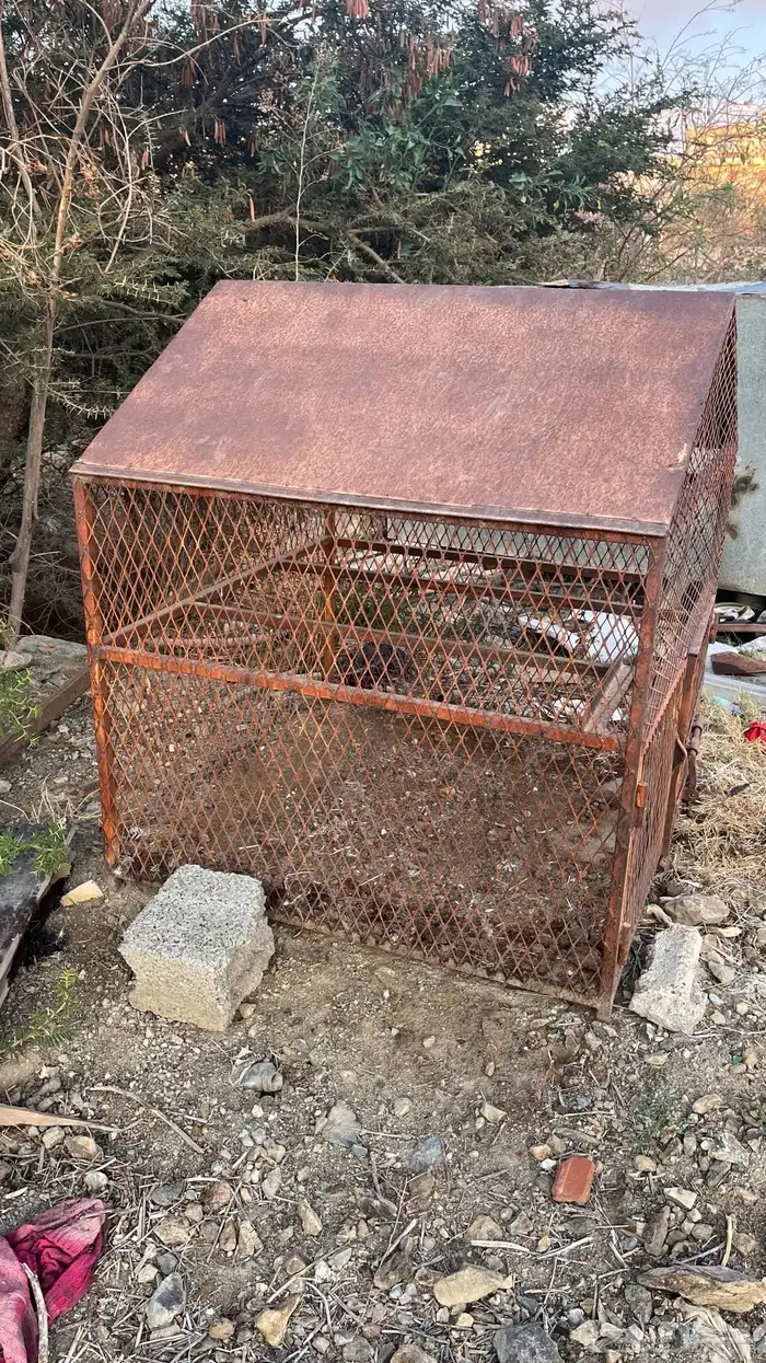 صندقه او شبك طيور وغيره 1